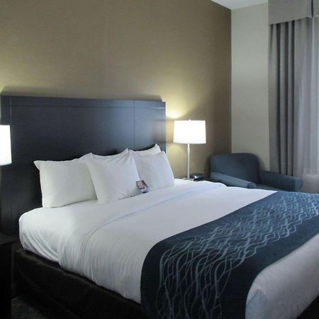 Comfort Inn Port Huron Esterno foto